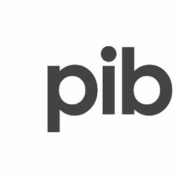 Company logo Pib Group