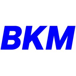 Firmenlogo BKM – Präzisionswerkzeuge Stanz- und Biegeteile GmbH
