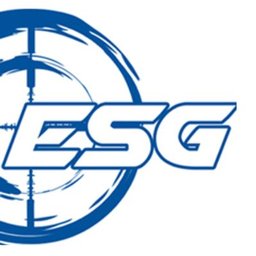Company logo Electronic Security Group, Inc