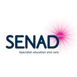 Company logo SENAD Group