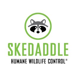 Company logo Skedaddle Humane Wildlife Control