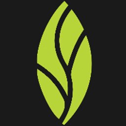 Company logo Mint Dentistry