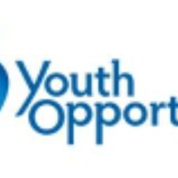 Company logo Youth Opportunity Investments, LLC