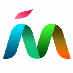 Company logo MAPSTED
