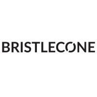 Firmenlogo Bristlecone