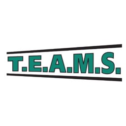 Company logo TEAMS Transport