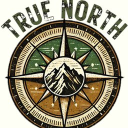 Company logo True North Group