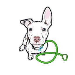 Company logo Dandy Dog