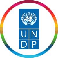 Company logo UNDP