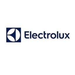 Company logo Electrolux