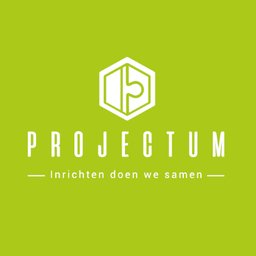 Company logo Projectum