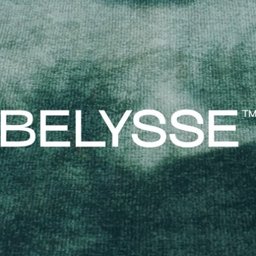 Company logo Belysse