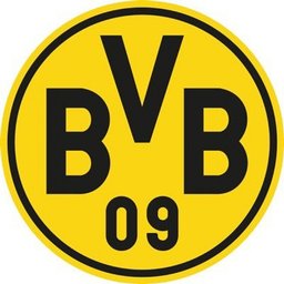 Firmenlogo Borussia Dortmund GmbH & Co. KGaA