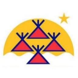 Company logo TLICHO INVESTMENT CORPORATION
