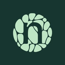 Company logo Novonesis