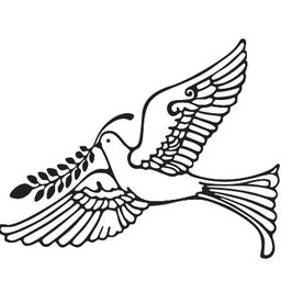 Company logo Dove Home Care Agency Ltd