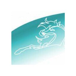 Company logo Rapport