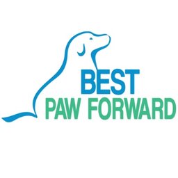 Company logo Best Paw Forward