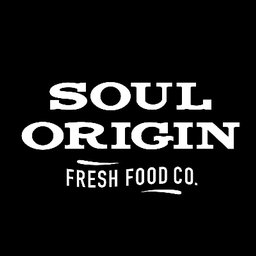 Company logo Soul Origin