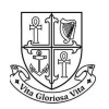 Company logo The National Maternity Hospital