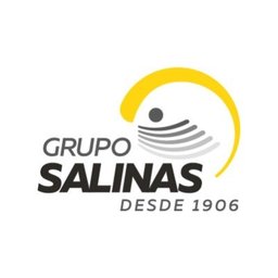Logotipo de la empresa Grupo Salinas S.A. de C.V.