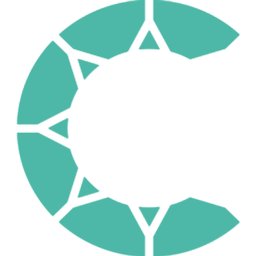 Company logo Ctrack