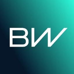 公司标志 BorgWarner