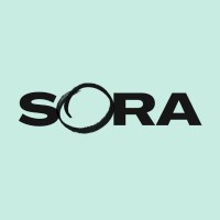 Logotipo de la empresa Sora Schools