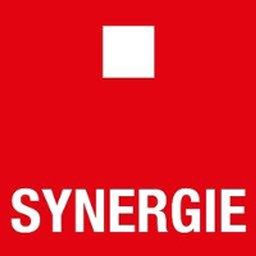 Logo de l'entreprise Synergie