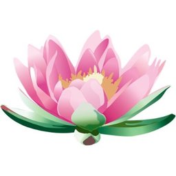 Company logo Aiea and Waialae Sr Living