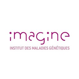 Logo de l'entreprise Institut Imagine