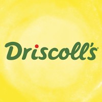 Company logo Driscoll's