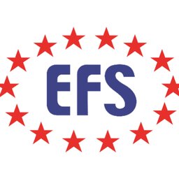 Company logo EFS Group