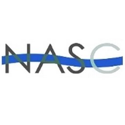 Company logo new age services