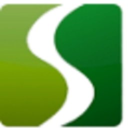Company logo Salem Engineering Group, Inc.