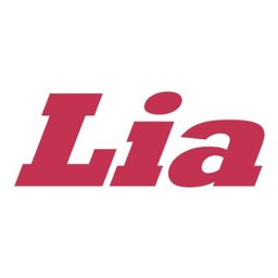 Company logo Lia Auto Group