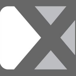 Company logo The Silver X Group