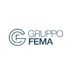 Company logo Gruppo Fema srl