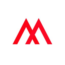कंपनी का लोगो Metafic