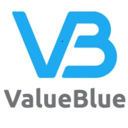 Company logo ValueBlue