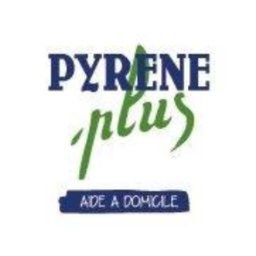 Logo de l'entreprise PYRENE PLUS
