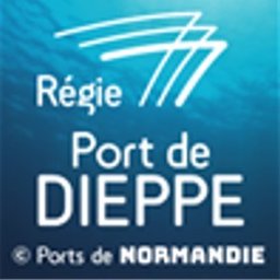 Logo de l'entreprise Régie Dieppoise des Activités Portuaires