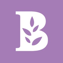Company logo Bachman's Inc.