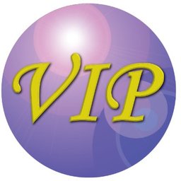 Company logo V.I.P. Services Group
