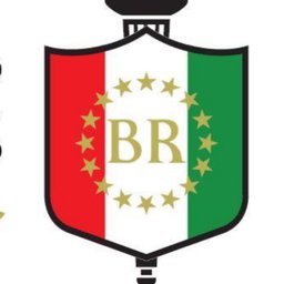 شعار الشركة Bright Riders School