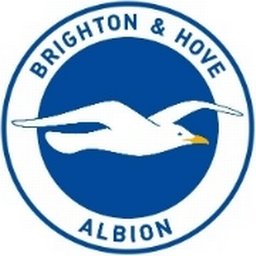 Company logo Brighton and Hove Albion Football Club