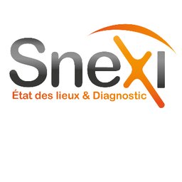 Logo de l'entreprise SNEXI