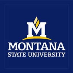 Company logo Montana State University