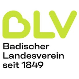 Firmenlogo Badischer Landesverein für Innere Mission