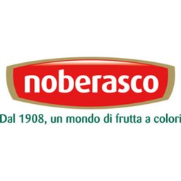 Company logo NOBERASCO